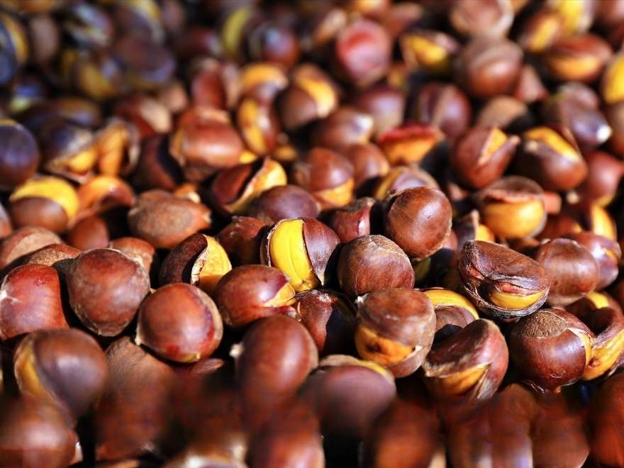 Cao Bang chestnuts
