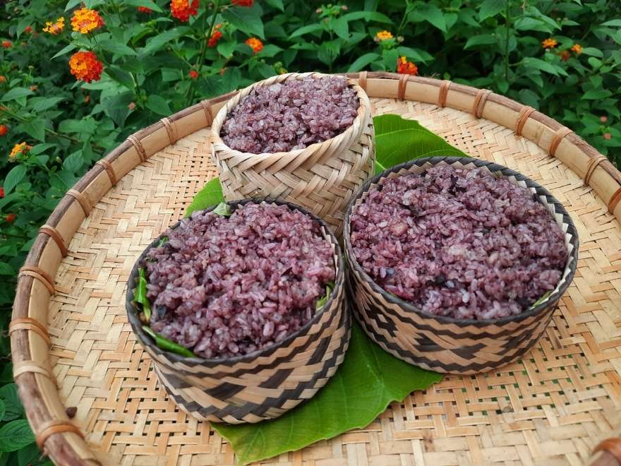 Sticky rice with canarium nuts.