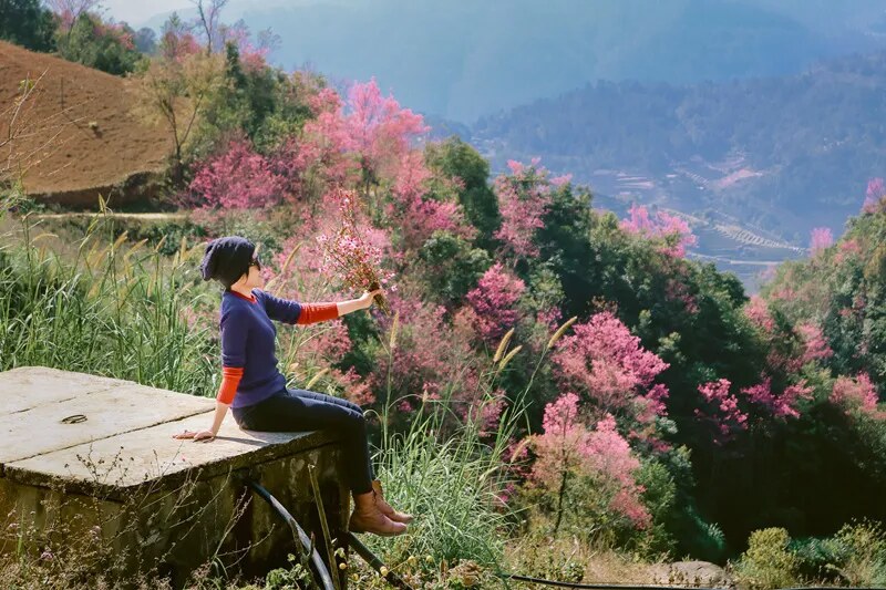 Mu Cang Chai enchantingly appealing to all tourists craving the beauty of winter