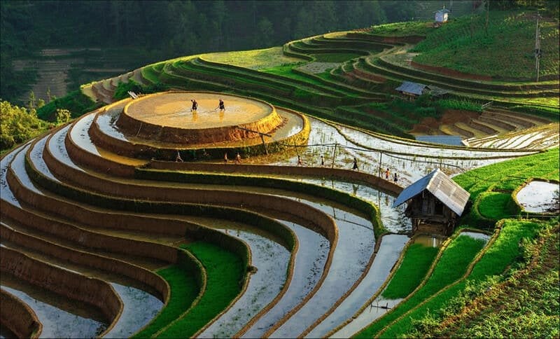 Terraced fields, north vietnam, water pouring season