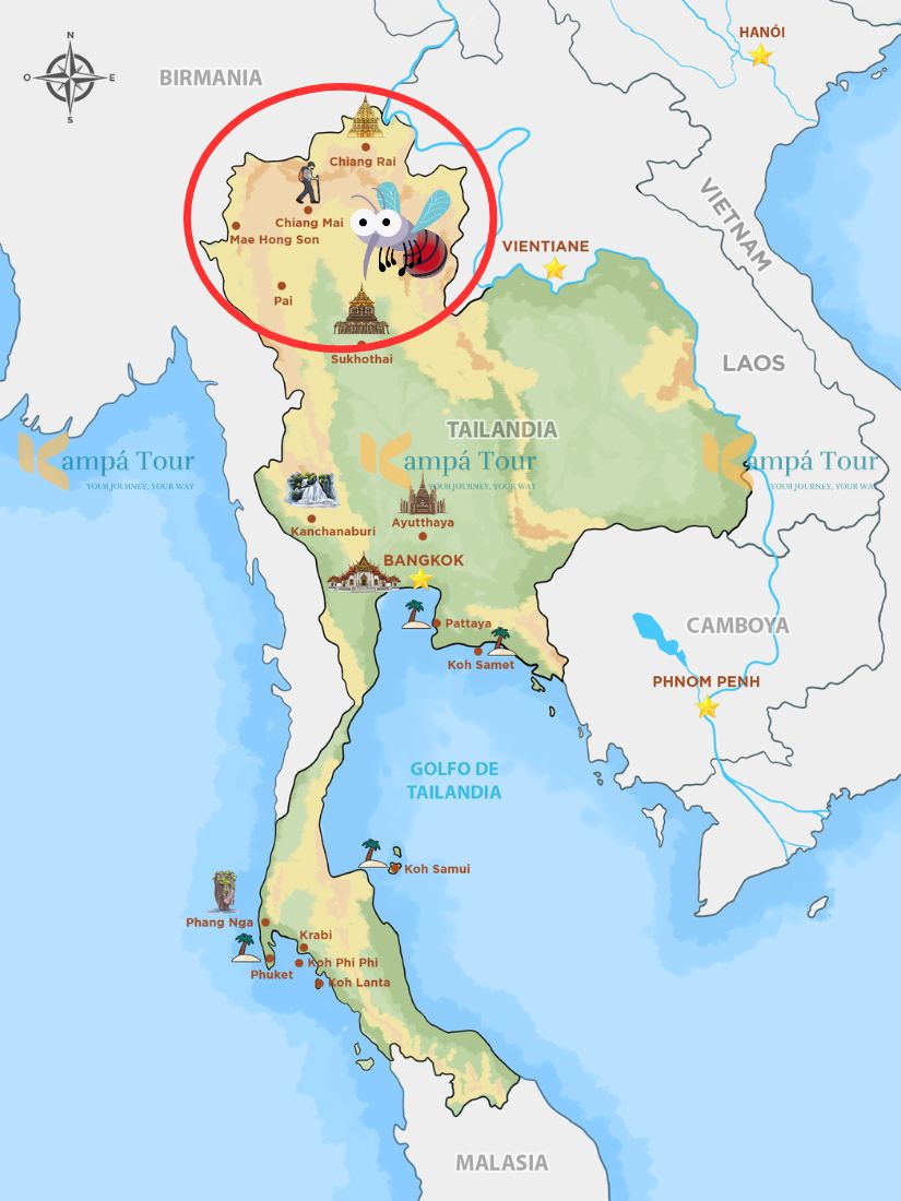 mosquitos en el norte de tailandia