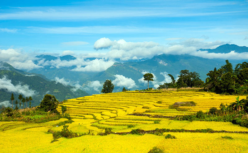 North Vietnam Tours