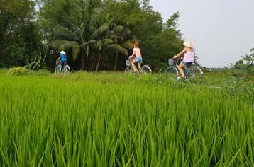 Descubrimiento campos en Hoi An en bicicleta