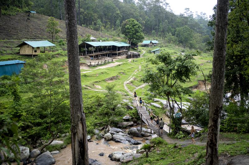 Elephant Camp in Natural Areas