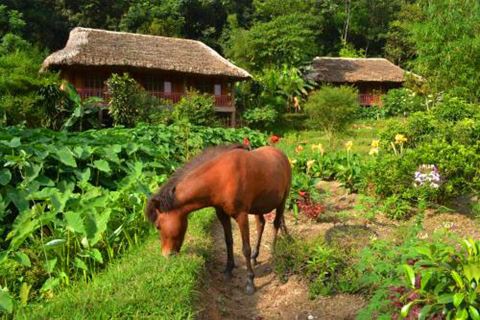 Panhou Retreat Ha Giang