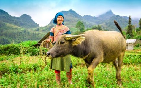 Vietnam Camboya Laos 21 días