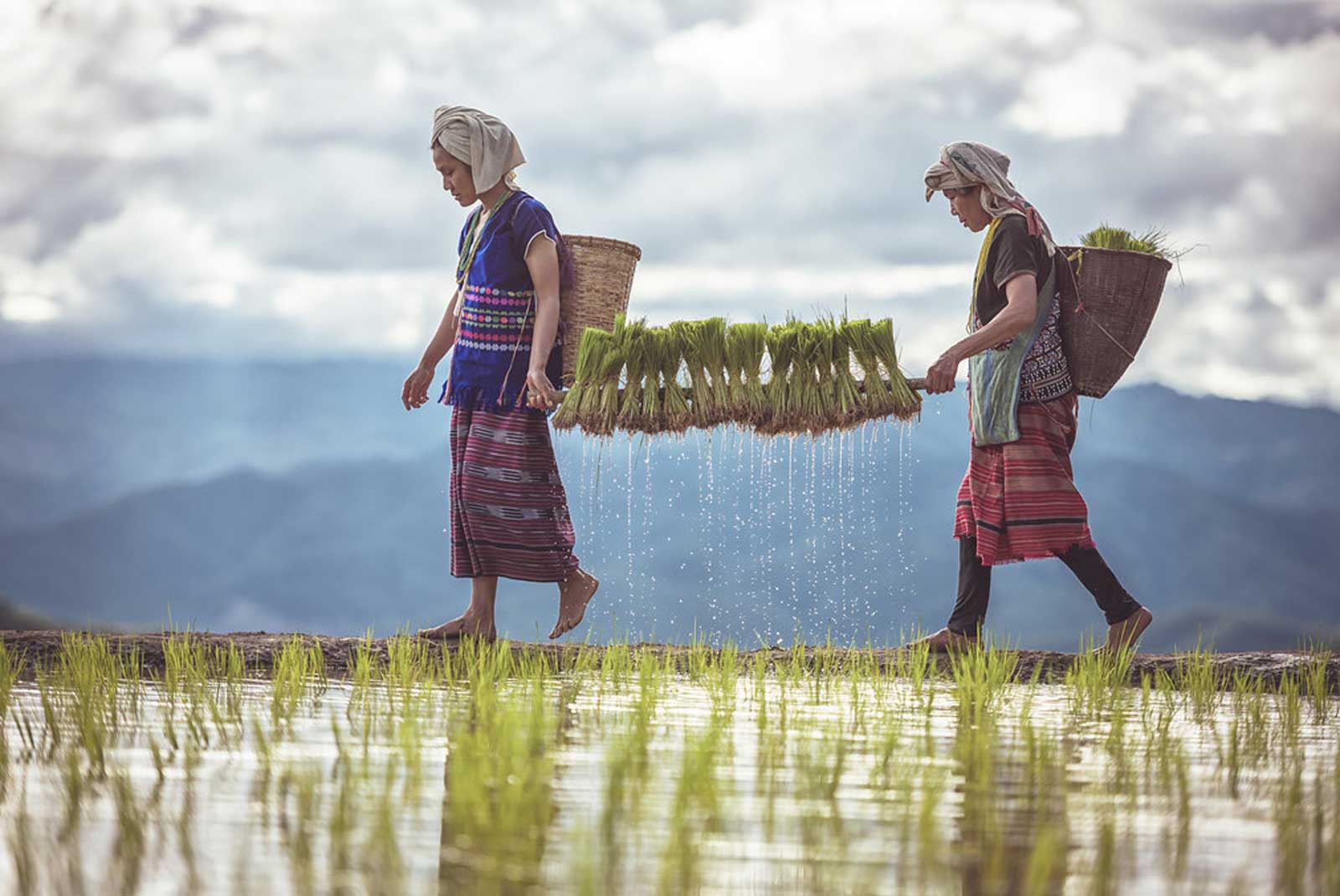 Consejos para viajar con éxito a Tailandia