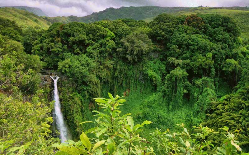 mejor epoca para viajar a camboya mondulkiri