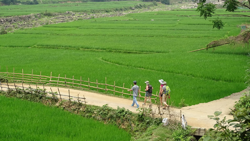 Tour From the Northern Highlands to the Mekong Delta