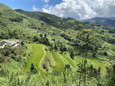 A beautiful photo of rice terraces taken by Brigitte and Jean