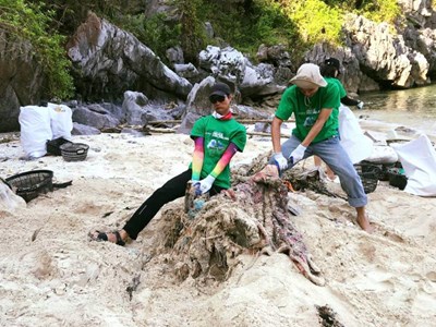 Reviviendo la bahía de Halong: limpieza tras el tifón Yagi