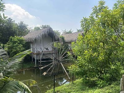 El espacio verde y puro en Ba Vì