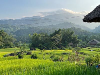 Hạ Thành, a small hamlet near the city of Hà Giang, with cultivated fields stretching around stilt houses