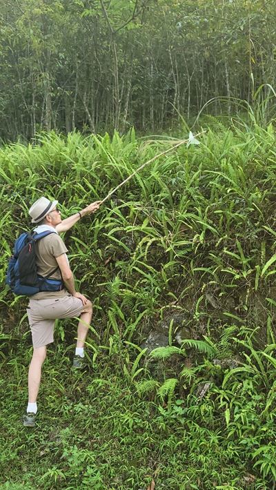 Mr. Patrick's intrepid spirit shines as he navigates the lush greenery