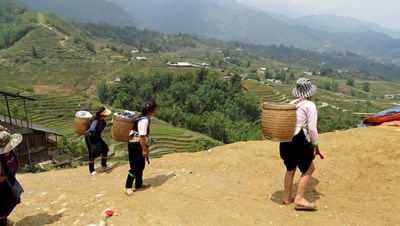 Las terrazas de arroz maravillosas en abril