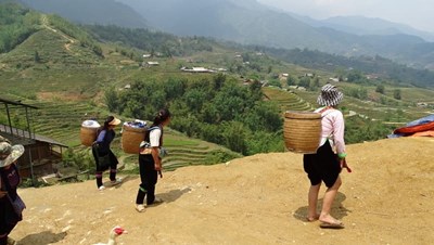 Trekking through the picturesque terraced fields of Pu Luong, a highlight of our Vietnamese adventure