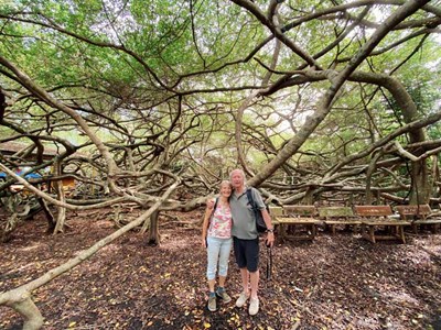 Françoise and Claude enjoying the serene beauty of the forest 