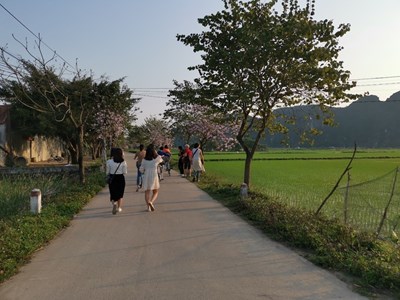 Hiking through lush green rice fields