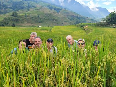 La belleza del arroz maduro, abarcando todo un cielo