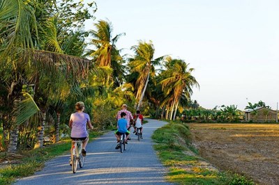 Coco Riverside Lodge ofrece las actividades diversas