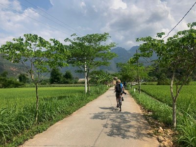 Paseamos por Ninh Binh en bicicleta