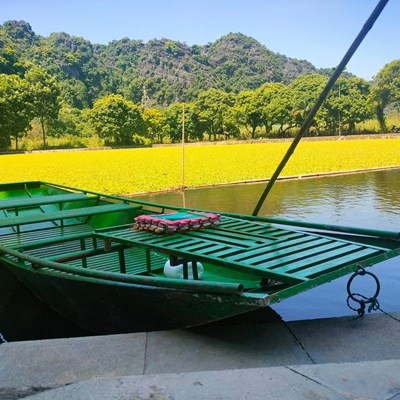 Pasean por el río Ngo Dong, Tam Coc, Ninh Binh en barco