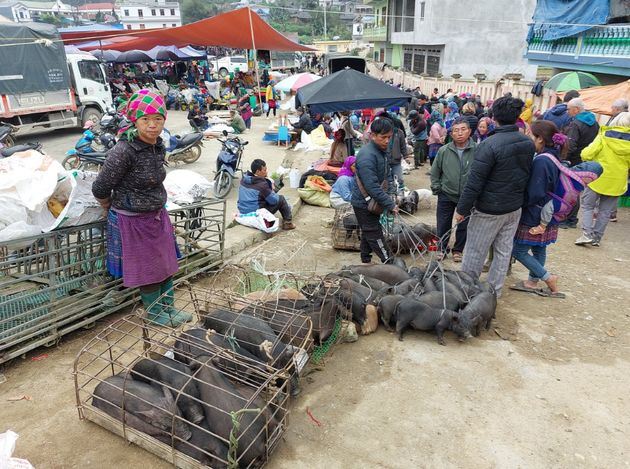 En un mercado étnico, donde la gente vende muchos productos locales