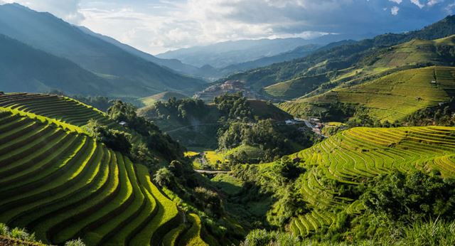 Taking a closer look at the beauty of Northern Vietnam’s rice terraces, one step at a time.