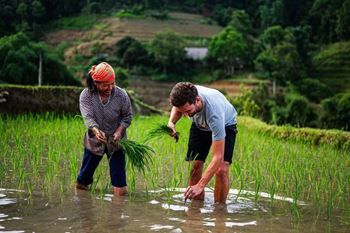 Vietnam in 3 Weeks: A Journey Through Northern Tribes & Central Heritage