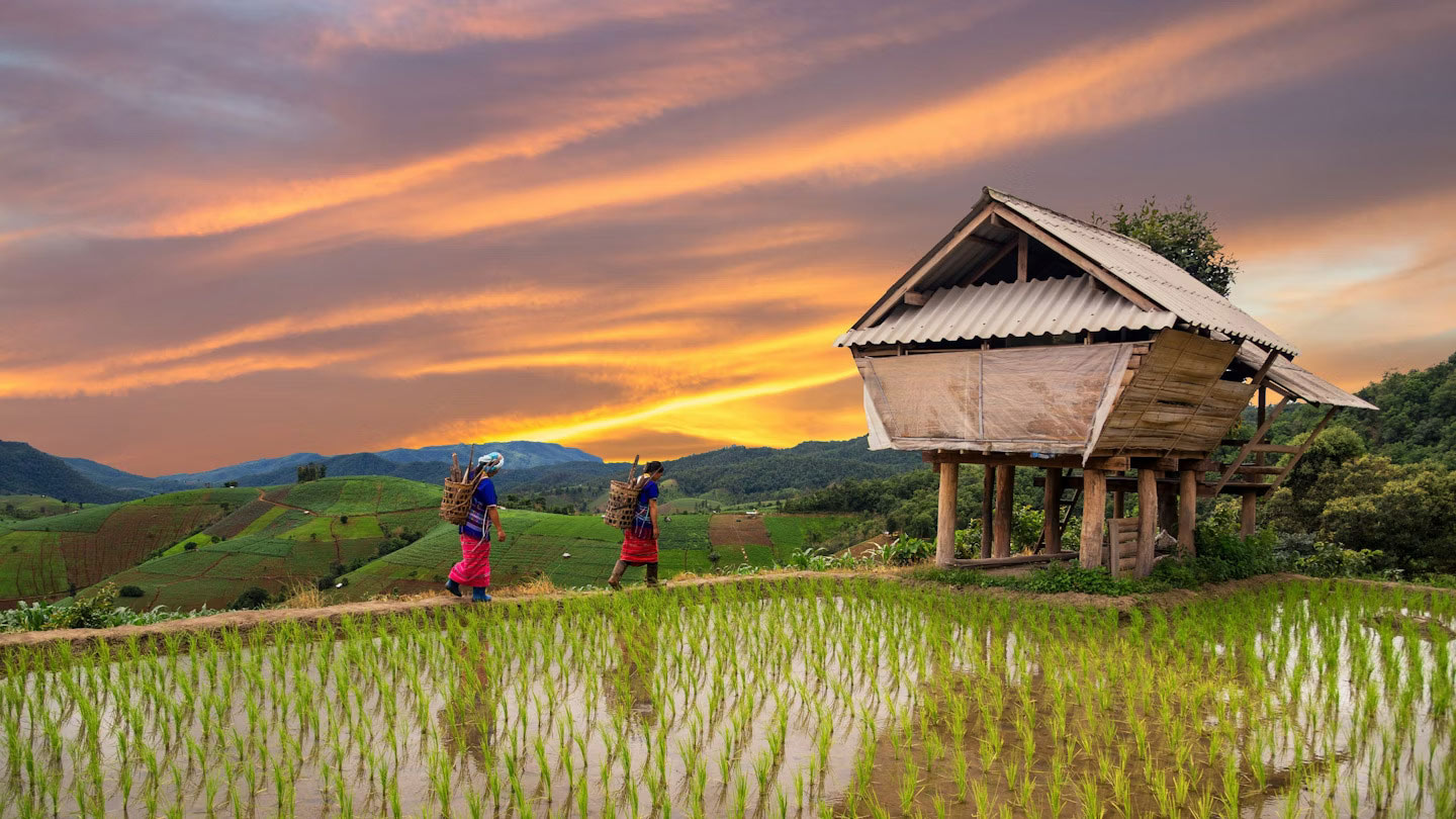 3 Weeks of Wonder: Treasures of Thailand, Cambodia, and Vietnam