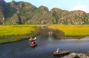 Majestic views of Ninh Binh's limestone peaks and vibrant rice fields