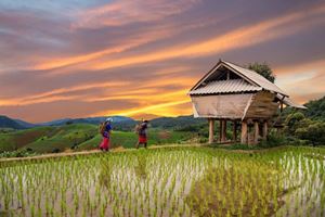 Enchanting Chiang Mai: Where Tradition Meets Tranquility