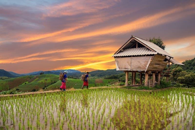 Enchanting Chiang Mai: Where Tradition Meets Tranquility