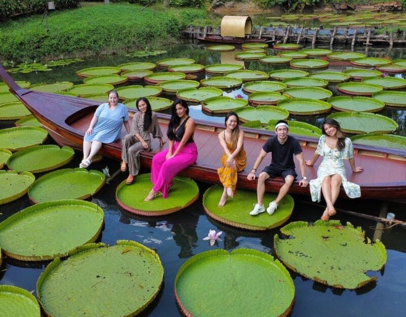 Phitsanuloks Giant Water Lilies