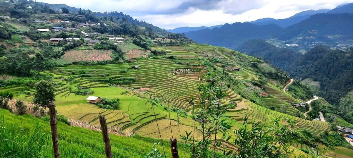 Viaje de Senderismo al Norte de Vietnam en 12 días