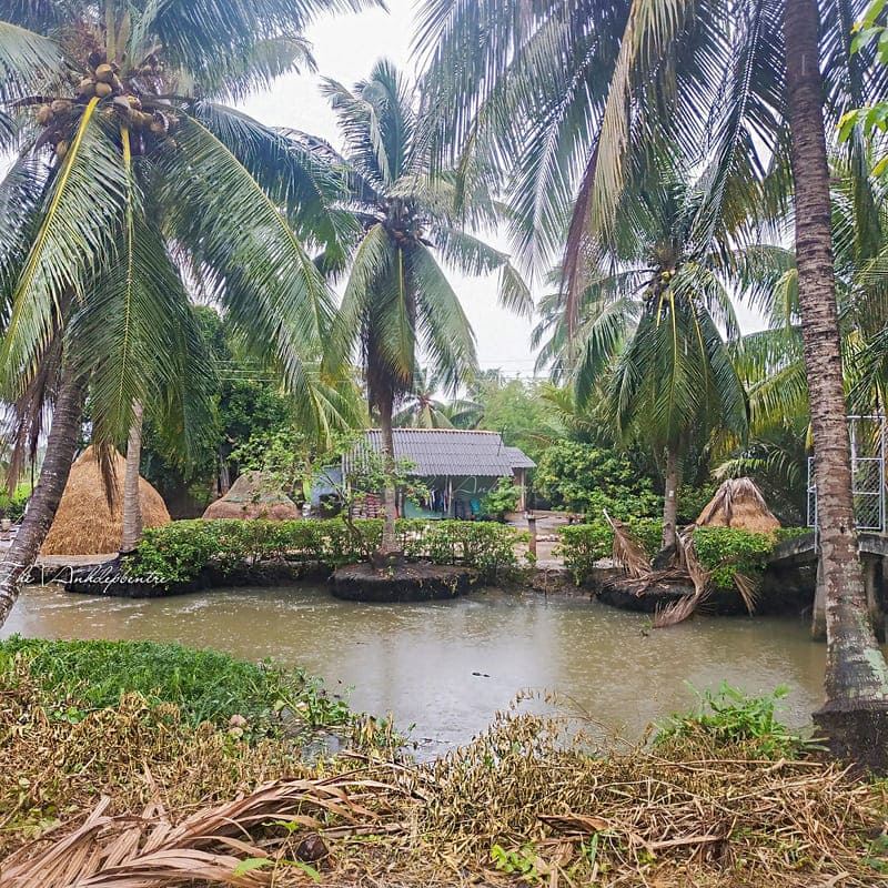 Mekong tranquility: Ben Tres river charm