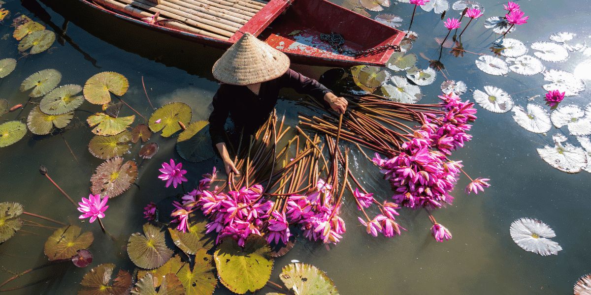 CIRCUITOS POR VIETNAM