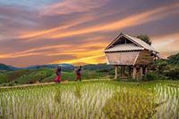 Tesoro del Norte de Tailandia en 10 días: Ruta cultural