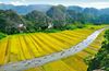 10 Days, 10 Colors: A Journey from South to North Vietnam