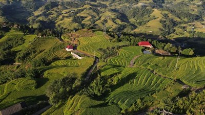 Excursión por Bac Ha en 4 días