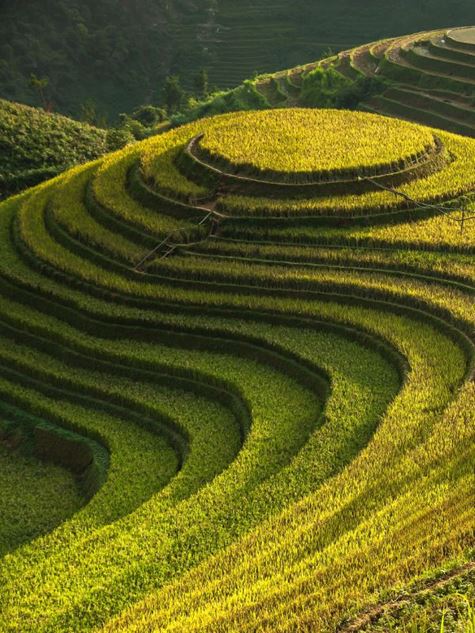 Paisajes de Indochina