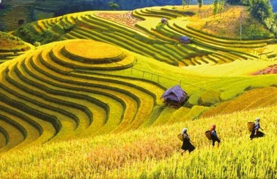 Viaje de Senderismo al Norte de Vietnam en 12 días