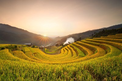 3 Weeks in Vietnam: A Tapestry of Unforgettable Highlights