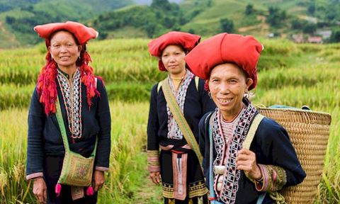 Viaje al Norte de Vietnam en 15 días: cultural y natural
