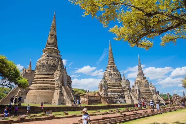 Explora los templos más famosos situados en Bangkok, Ayutthaya, Chiang Mai,...