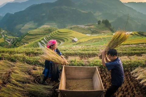 Vietnam from Mountains to Mekong, 21 Days