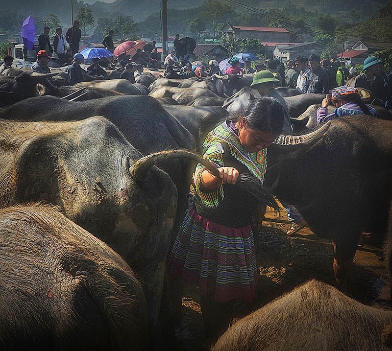 A weekly market in Bac Ha