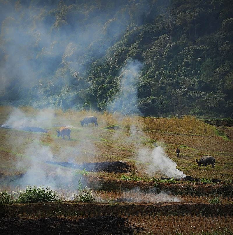 Beautiful landscapes of the Bac Ha region