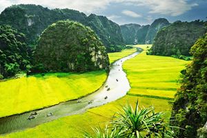 Paseo en barco en Ninh Binh