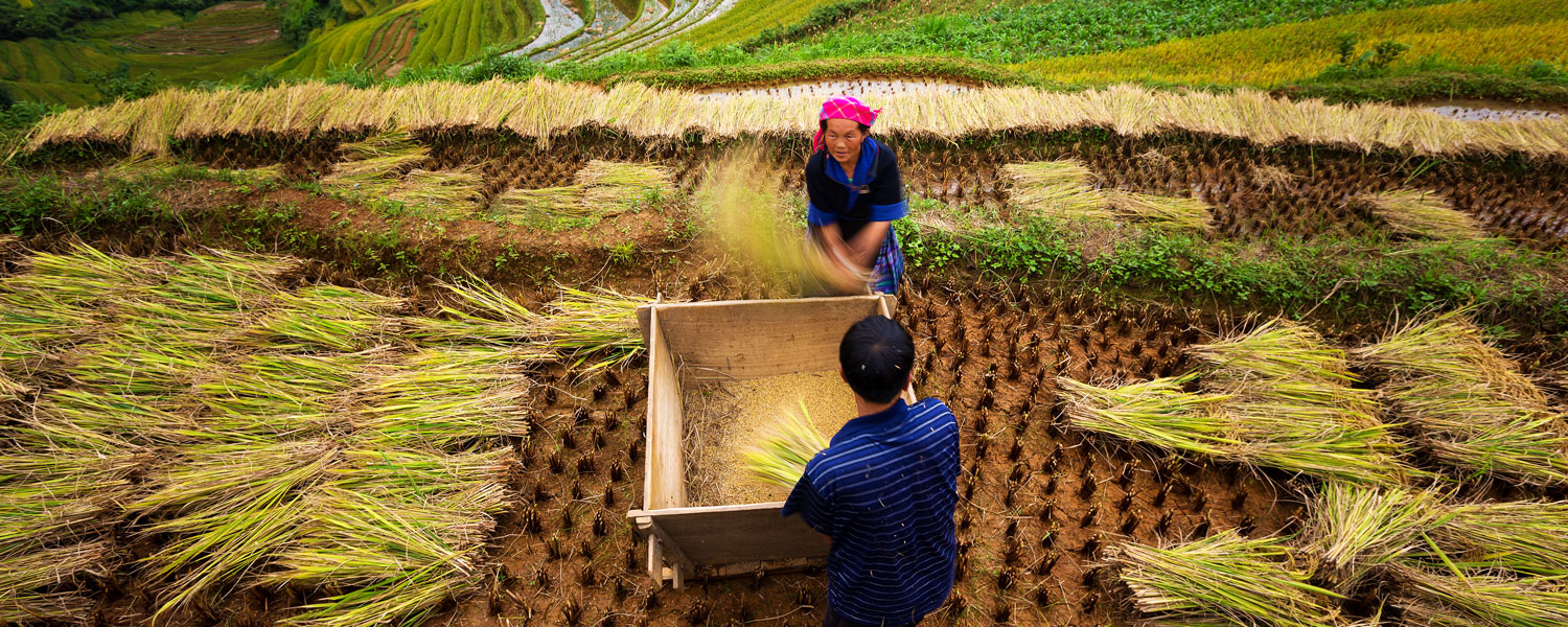 Gran travesía de Vietnam en 3 semanas